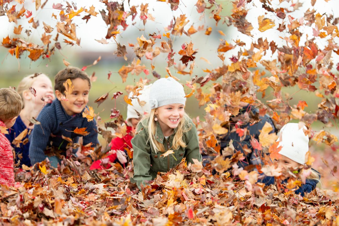 iStock-1341980059